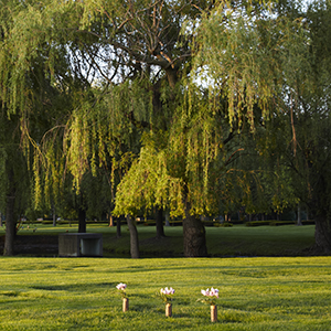 Willow Lined Pond at Shalom Memorial Park Cemetery